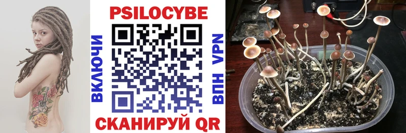Псилоцибиновые грибы Magic Shrooms  MEGA ONION  Ершов  что такое  