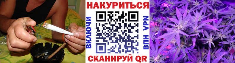 сколько стоит  Ершов  Шишки марихуана SATIVA & INDICA 